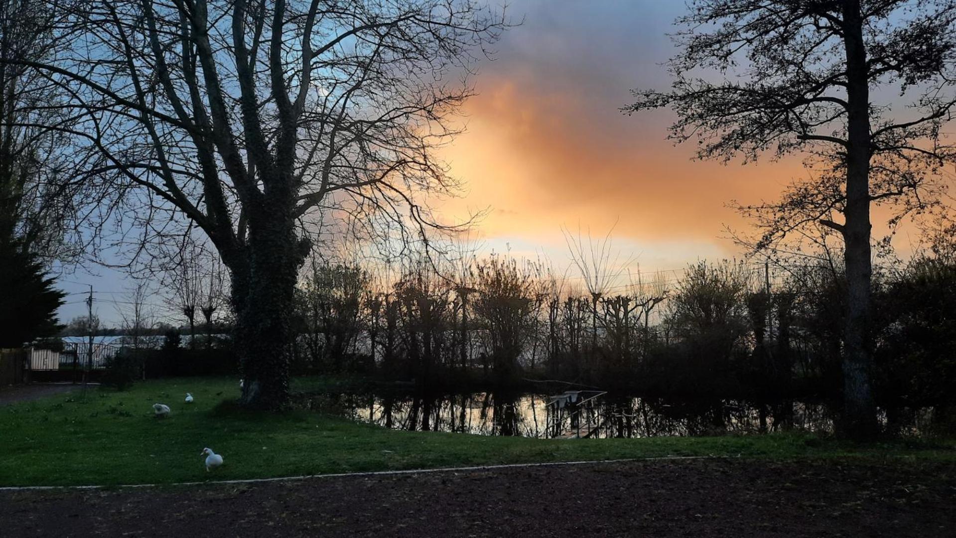 Holiday home Etang De La Bibardiere Allonnes (Maine-et-Loire)